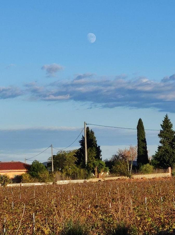 Chateau Angelique Villa Montroy Dış mekan fotoğraf