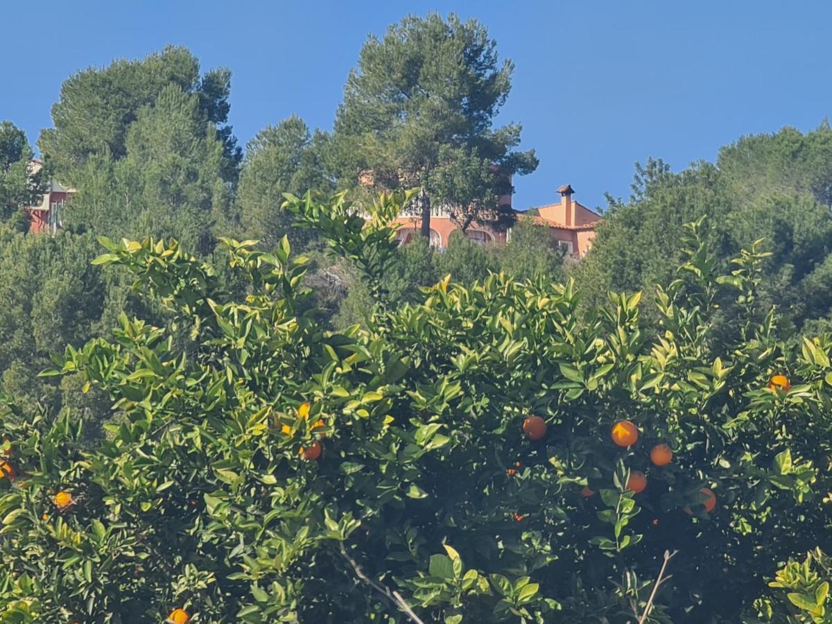 Chateau Angelique Villa Montroy Dış mekan fotoğraf